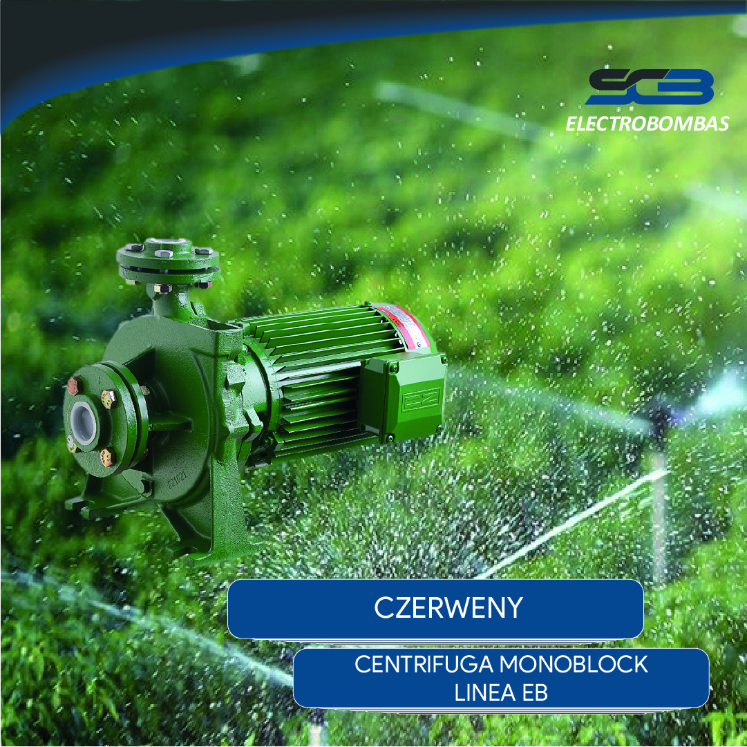 Bomba Centrifuga doble disco SCM2 70T 380V 5,5HP