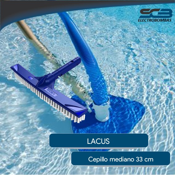 Cepillo Mediano 33cm